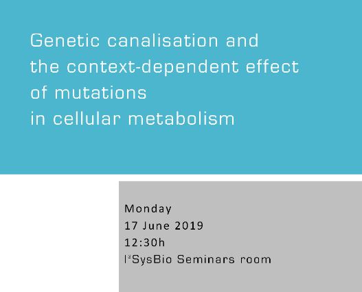 Genetic canalisation and the context-dependent effect of mutations in cellular metabolism